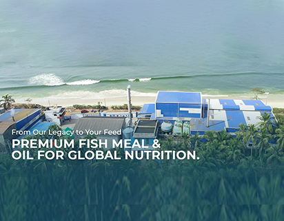 Indian Fish Meal, Indian Fish Oil, Indian Fish Soluble Paste